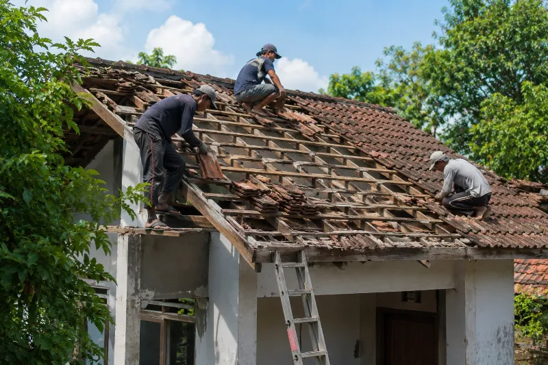 Renovasi Atap